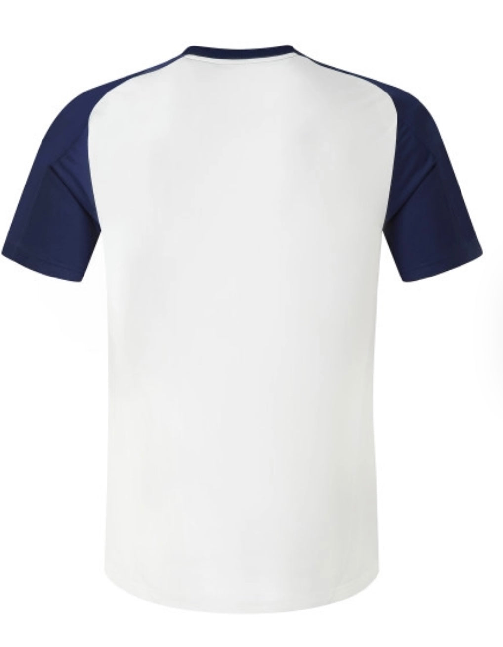 Maillot Lyon D’entraînement jogger pour hommes 24/25